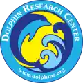 dolphins.org
