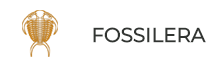  Fossilera promo code